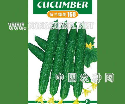 荷兰绿剑168